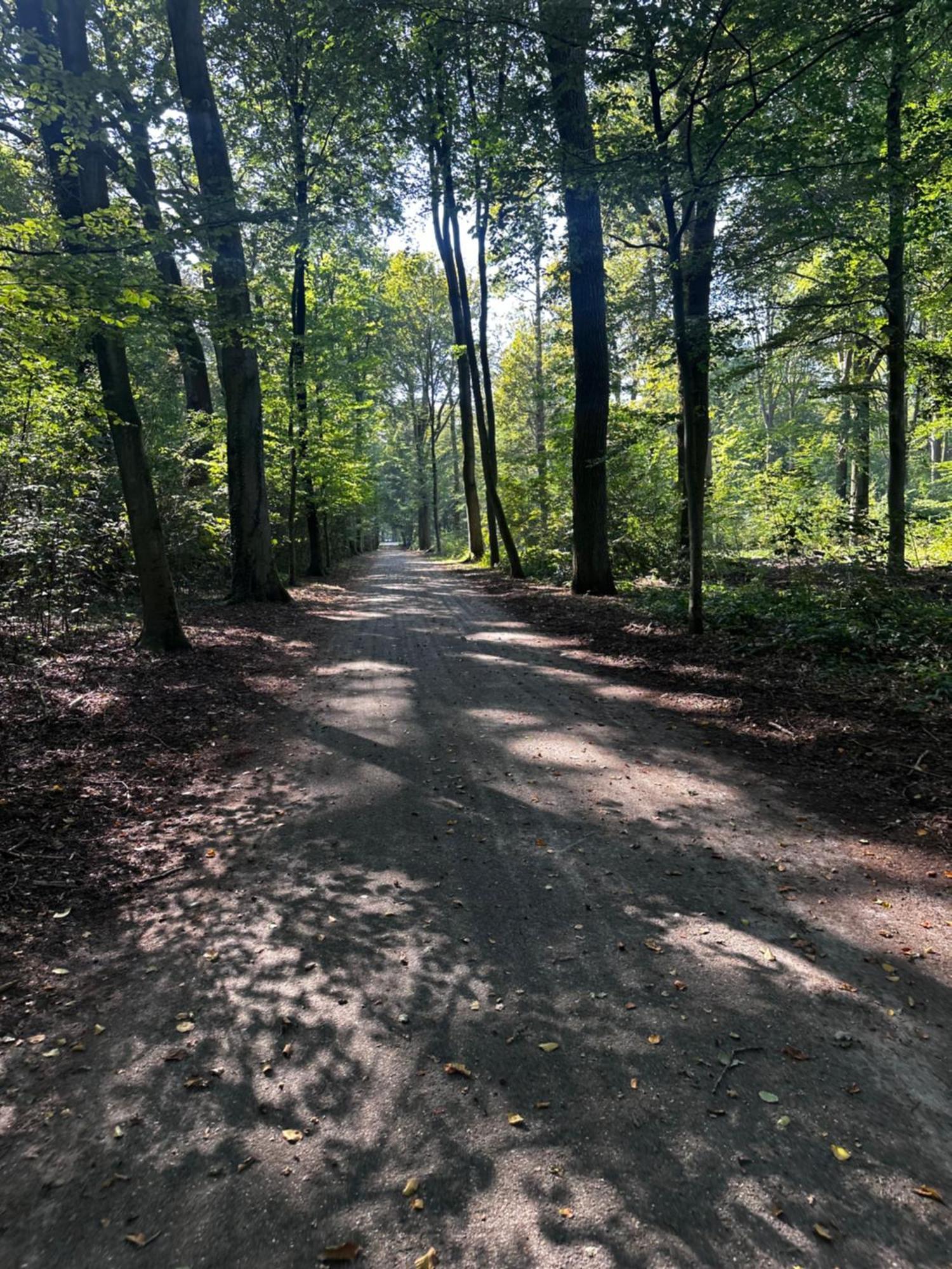 Chalet In Het Bos - Gezin - Wandelaars - Digital Nomads - Hs Wifi - Fijnspar 108 Aan de Wolfsberg 外观 照片